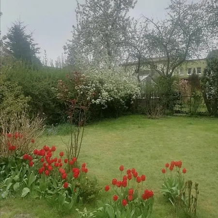 Przytulny Dom Z Ogrodem I Tarasem Lägenhet